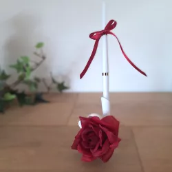 Porte stylo rouge et son stylo