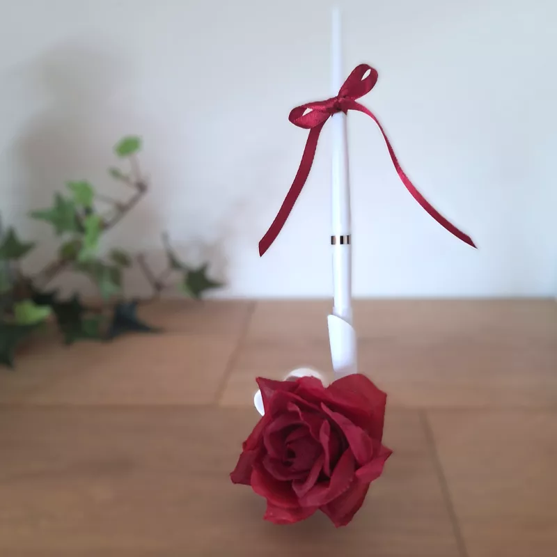 Porte stylo rouge et son stylo